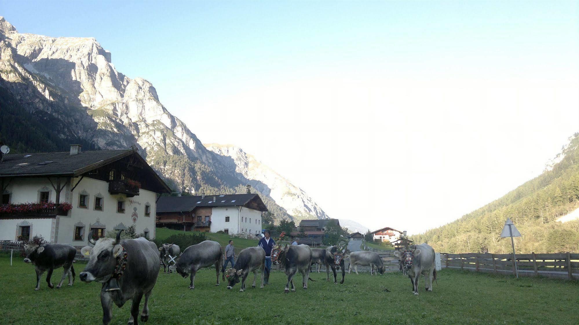 Alfaierhof-Bergheimat Hotel Gschnitz Kültér fotó