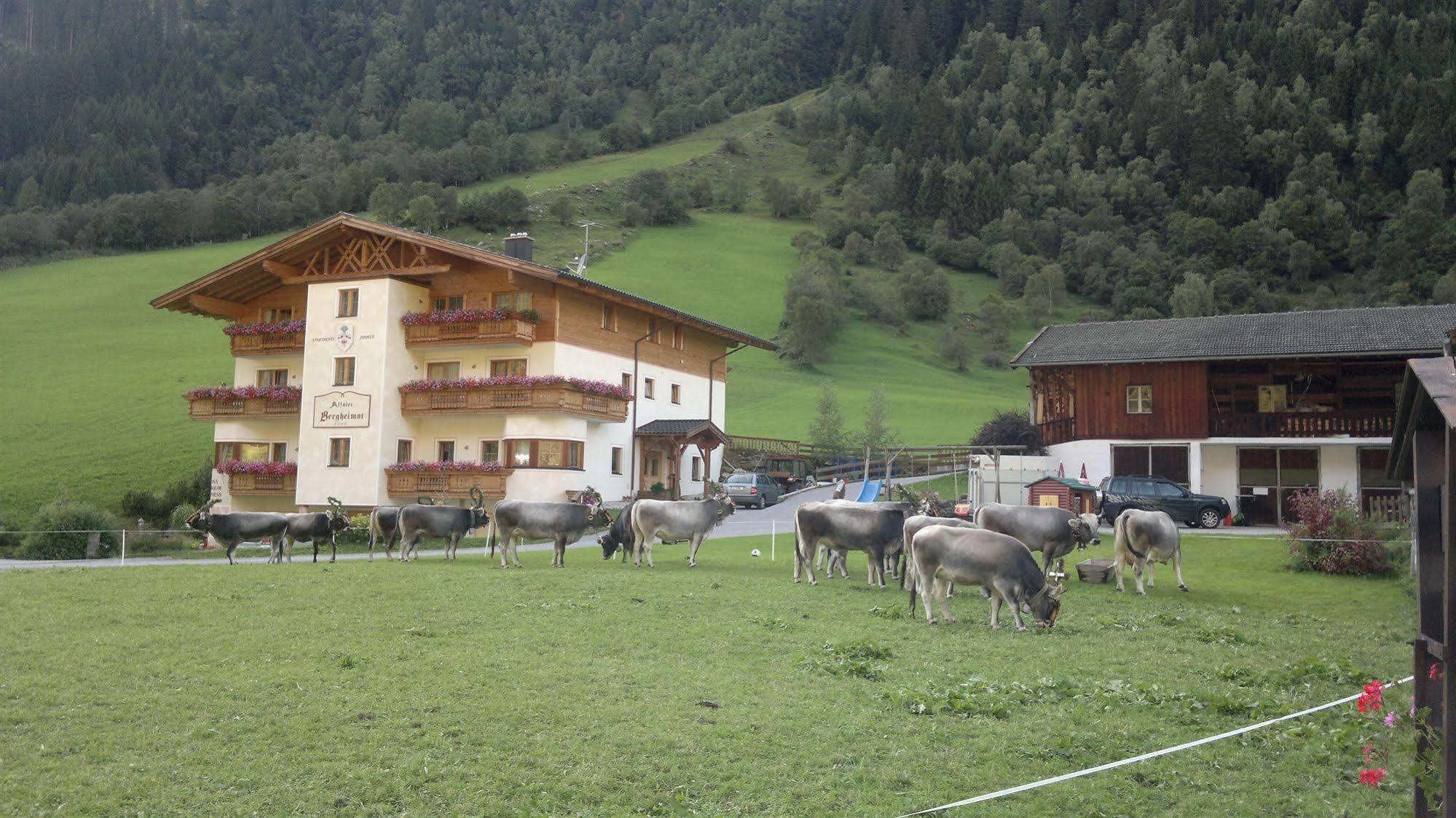 Alfaierhof-Bergheimat Hotel Gschnitz Kültér fotó