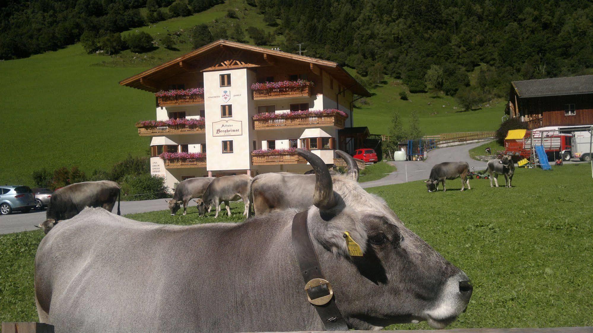 Alfaierhof-Bergheimat Hotel Gschnitz Kültér fotó